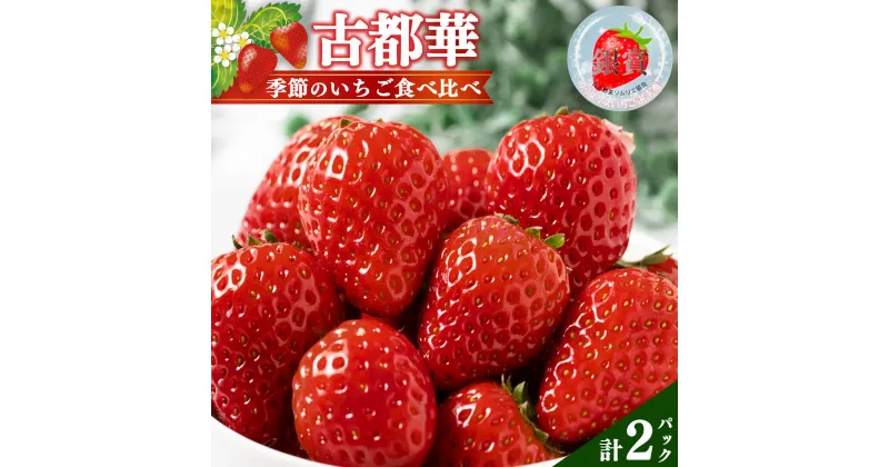 【ふるさと納税】奈良県五條市産「古都華」＆「季節のいちご」食べ比べセット（1パックずつ） 計2パック　| フルーツ くだもの 果物 いちご イチゴ ことか コトカ 古都華 奈良県 五條市