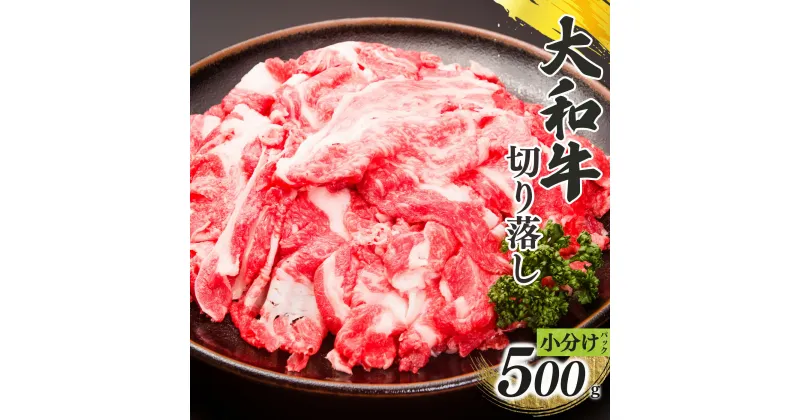 【ふるさと納税】奈良県産 黒毛 和牛 「 大和牛 」切り落し500g （ 250g x 2 ） | 肉 にく ニク お肉 牛肉 黒毛 和牛 赤身 国産 大和牛 切り落とし こまぎれ バラ サーロイン ステーキ 盛合わせ 冷凍 奈良県 五條市