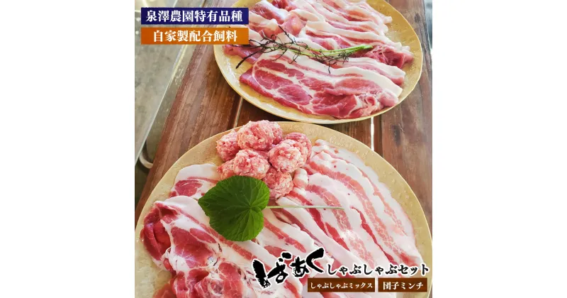 【ふるさと納税】ばあく豚 しゃぶしゃぶ セット | お肉 肉 にく ニク 豚肉 ぶたにく ブタニク 五條市 手作り 無添加 奈良県 五條市 金剛山麓