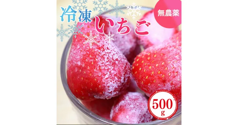 【ふるさと納税】冷凍いちご 約500g (100gx5パック) | フルーツ くだもの 果物 いちご イチゴ 冷凍 奈良県 五條市