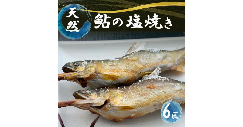 【ふるさと納税】冷凍 天然鮎の塩焼き 6匹 (あかねや) ｜川魚 魚 さかな サカナ 天然鮎 あゆ アユ 冷凍便 奈良県 五條市