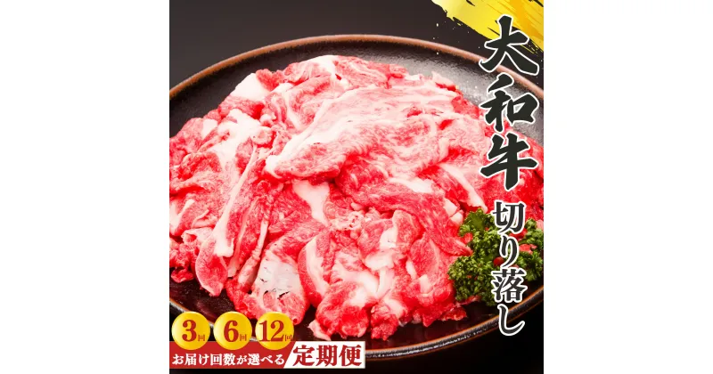 【ふるさと納税】【定期便】奈良県産黒毛和牛 大和牛 切り落し 500g （250g×2）｜ 肉 にく ニク お肉 牛肉 黒毛 和牛 赤身 国産 大和牛 切り落とし 冷凍 奈良県 五條市