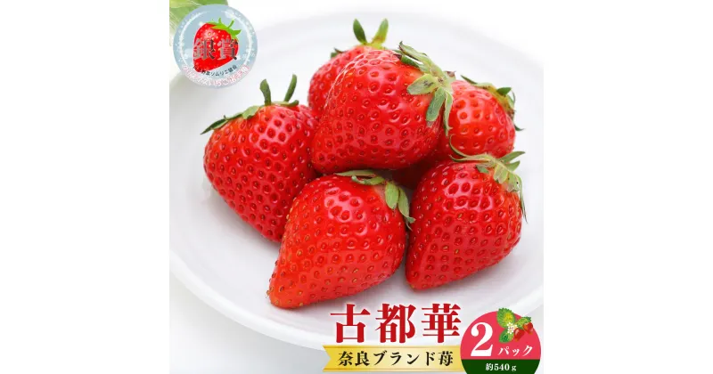 【ふるさと納税】奈良県産ブランド「 古都華 （ ことか ）」 2パック （ 約540g ）| フルーツ くだもの 果物 いちご イチゴ ことか コトカ 古都華 奈良県 五條市