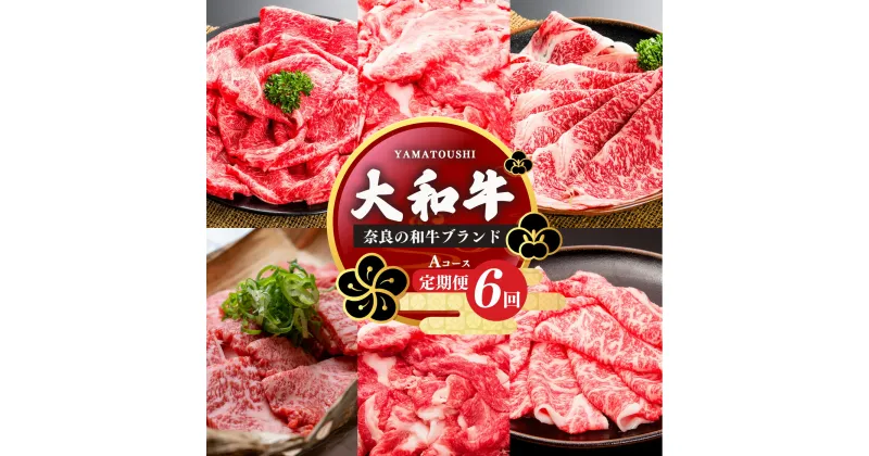 【ふるさと納税】【定期便6回】大和牛 お肉の定期便 A | 肉 にく ニク お肉 牛肉 黒毛 和牛 赤身 国産 大和牛 切り落とし 冷凍 すきやき ロース 焼肉 小間切れ 奈良県 五條市