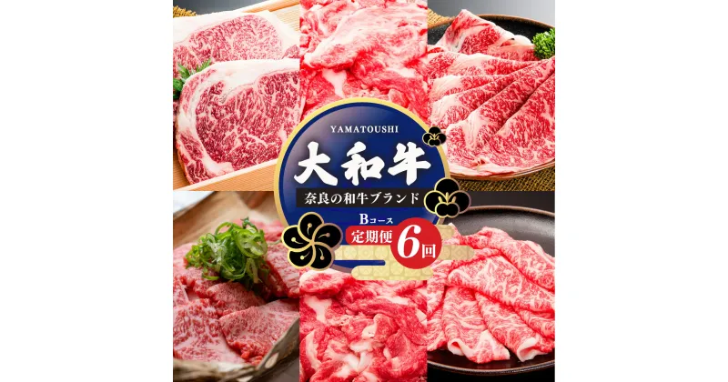 【ふるさと納税】【定期便6回】大和牛 お肉の定期便 B | 肉 にく ニク お肉 牛肉 黒毛 和牛 赤身 国産 大和牛 切り落とし 冷凍 すきやき ロース 焼肉 小間切れ 奈良県 五條市