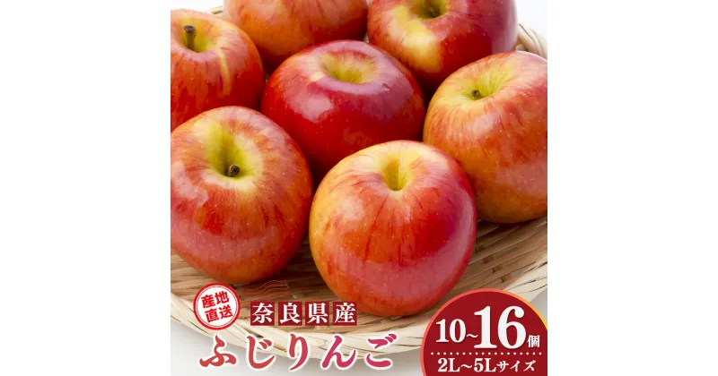 【ふるさと納税】 ふじりんご 10個～16個 2L～5Lサイズ ｜フルーツ くだもの 果物 りんご 林檎 リンゴ ふじりんご 奈良県 五條市