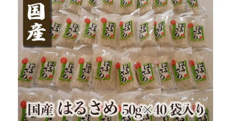 【ふるさと納税】国産はるさめ 50g×40袋入り ／ 金正食品 春雨 無添加 個包装 特産品 奈良県 御所市