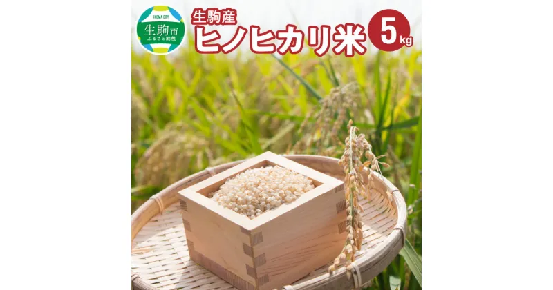 【ふるさと納税】令和6年産新米 ヒノヒカリ 5kg 中本ファーム 生駒産 お米 米 精米 白米 ごはん おにぎり 白ご飯 人気 おすすめ お取り寄せ おすそ分け ライス 備蓄米 奈良県 有機肥料 美味しい 地下水 送料無料