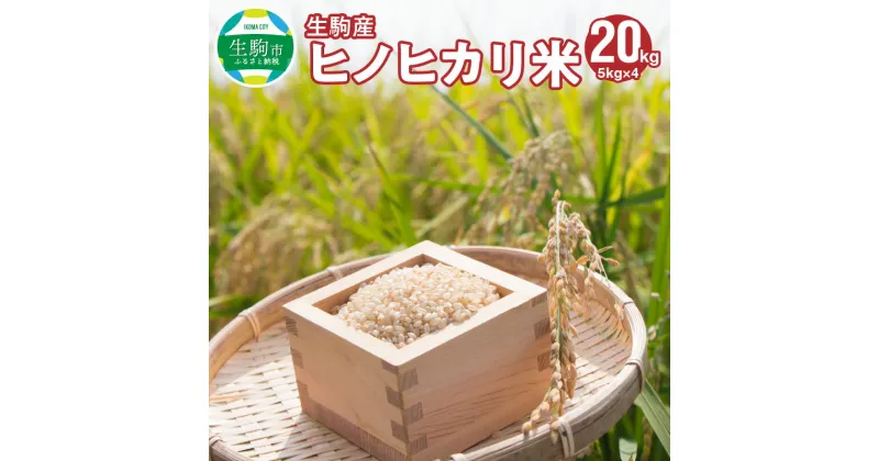 【ふるさと納税】令和6年産新米 ヒノヒカリ 20kg 中本ファーム 生駒産 5kg × 4 お米 米 精米 白米 ごはん おにぎり 白ご飯 人気 おすすめ お取り寄せ おすそ分け ライス 備蓄米 奈良県 有機肥料 美味しい 地下水 送料無料