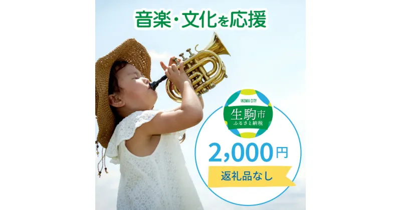 【ふるさと納税】「音楽・文化」を応援 （返礼品なし） 2000円 寄附のみ申込みの方