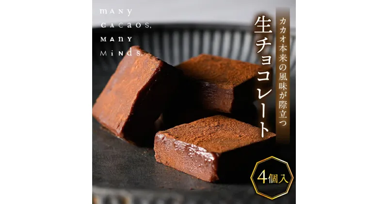 【ふるさと納税】生チョコレート（4個入り） チョコレート 生チョコ 口溶け ソフト クリーミー カカオ おやつ スイーツ デザート 洋菓子 贈り物 手土産 プレゼント バレンタイン 冷凍 奈良県 生駒市 送料無料