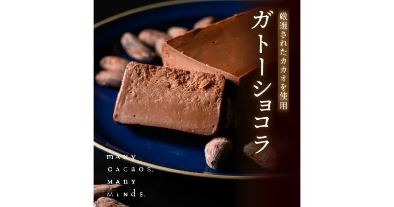 【ふるさと納税】ガトーショコラ チョコレート チョコ カカオ 濃厚 おやつ スイーツ デザート 洋菓子 贈り物 手土産 プレゼント バレンタイン 冷凍 奈良県 生駒市 送料無料