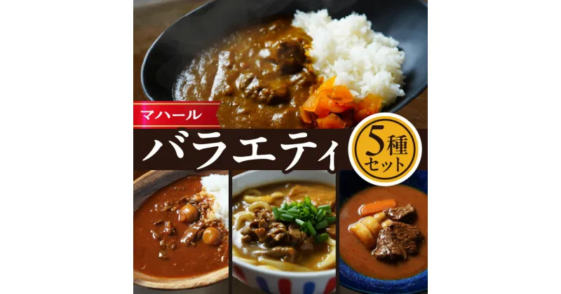 【ふるさと納税】マハール　バラエティ5種セット カレー 辛口 中辛 ハヤシ ビーフシチュー カレーうどん チルド 本格 手作り 熟成 まろやか こだわり おいしい おもてなし 贈り物 ギフト プレゼント 奈良県 生駒市 送料無料