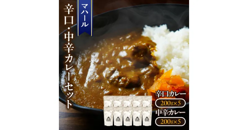 【ふるさと納税】マハール　辛口、中辛カレーセット カレー 辛口 中辛 チルド 本格 手作り 熟成 まろやか こだわり おいしい おもてなし 贈り物 ギフト プレゼント 奈良県 生駒市 送料無料