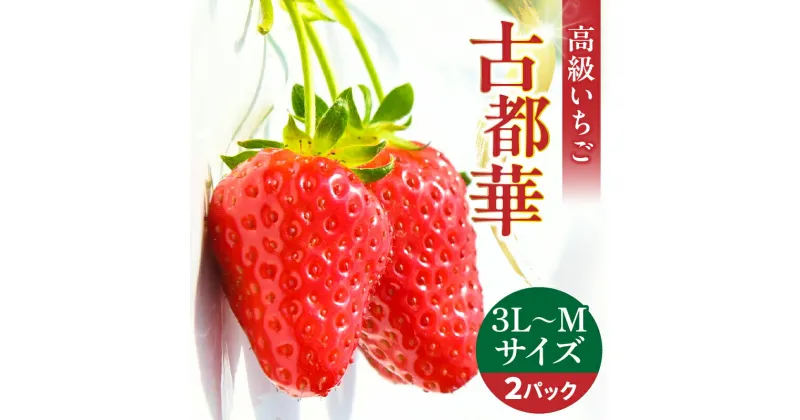 【ふるさと納税】【2025年2月～3月発送】高級いちご「古都華」3L～Mサイズ 2パック いちご 高級 古都華 3L～Mサイズ 280g×2パック 深みのある濃厚な味わい ほどよい酸味 高い糖度 華やかな香り 美味しく甘い フルーツ 果物 宙吊り包装 お取り寄せ 奈良県 生駒市 送料無料