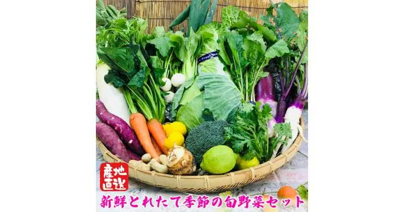 【ふるさと納税】[野菜セット] 産地直送！新鮮とれたて旬の野菜 [2004]